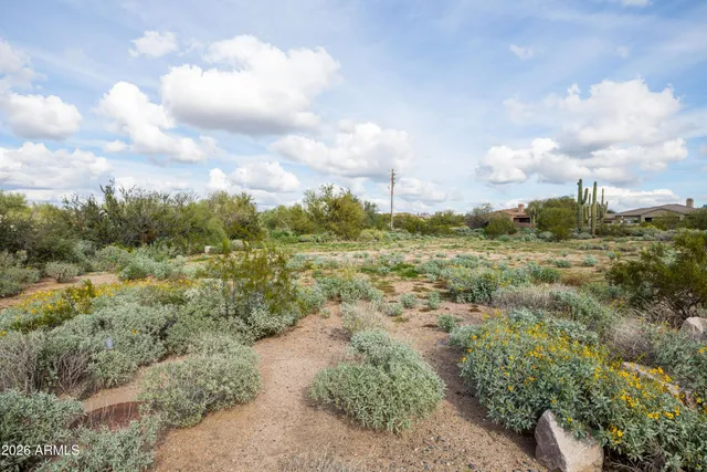 a view of a big yard with plants and large trees