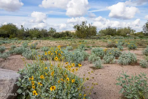a view of a multi story yard