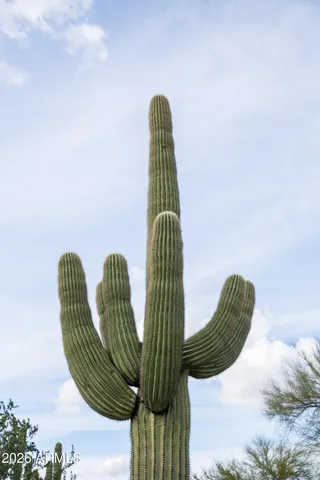 a view of a lake with green space
