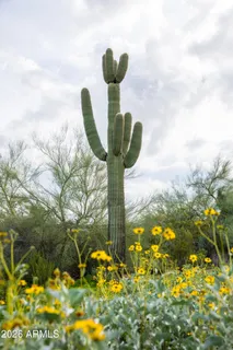 a view of a road with an trees