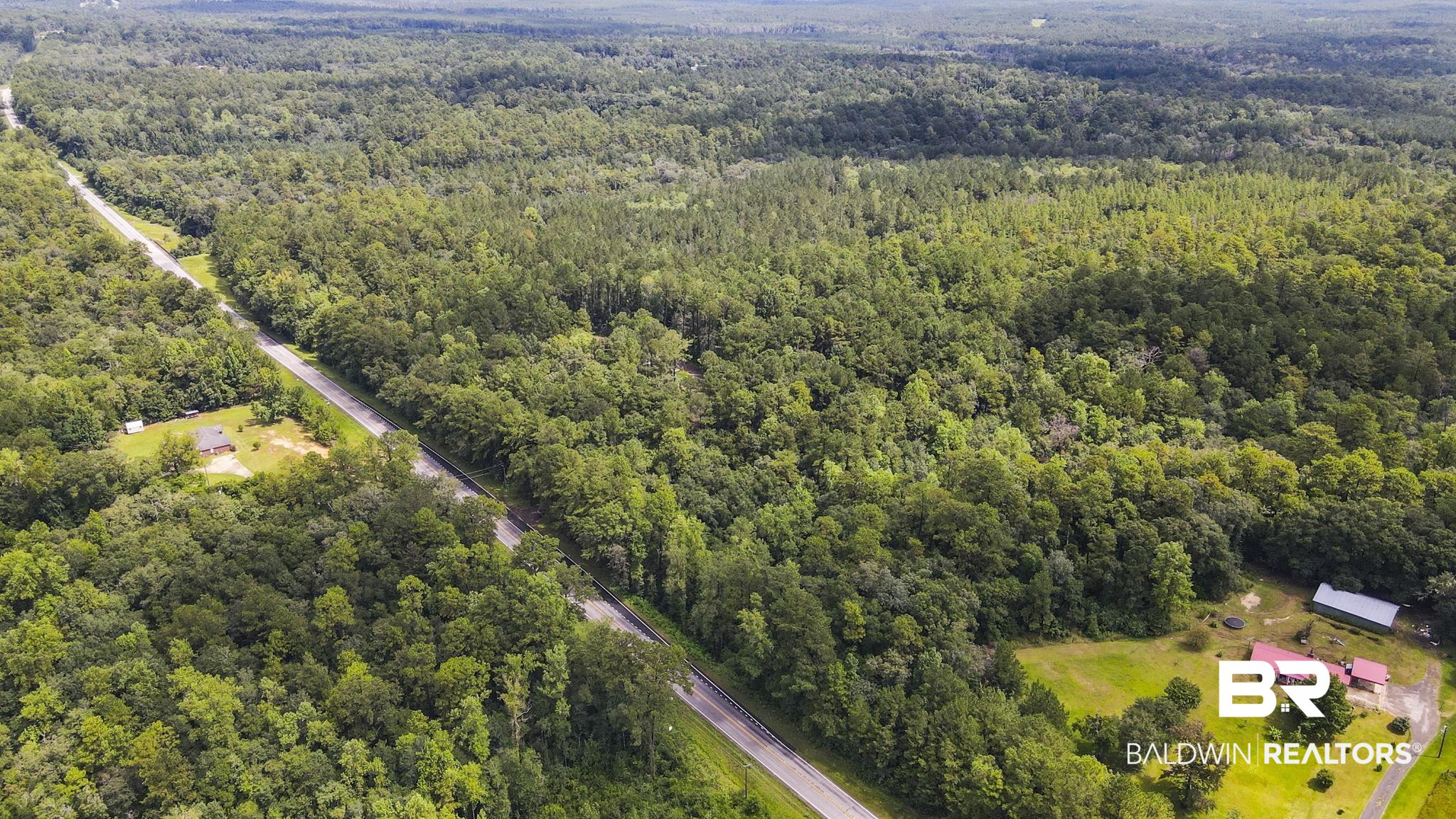 0 Mt.Pilgrim Road Eight Mile, AL 36613 - Photo 13 of 14 Bird's eye view of a forest