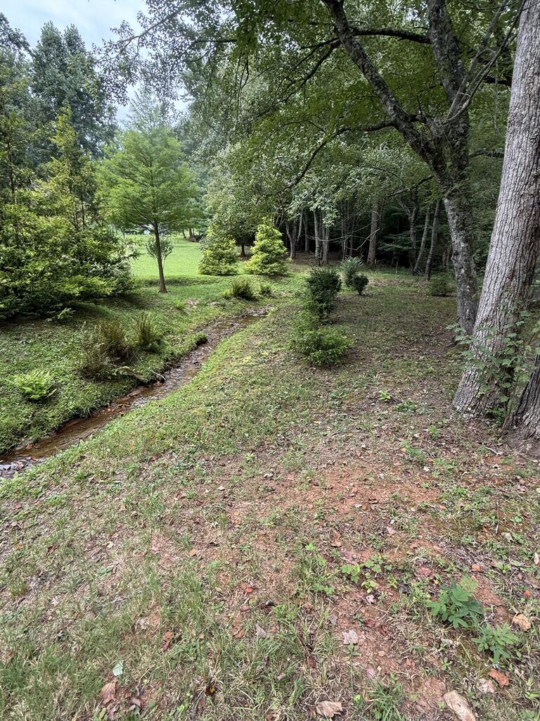0 Henson Road Hayesville, NC 28904 - Photo 9 of 28 Gallery Image 9