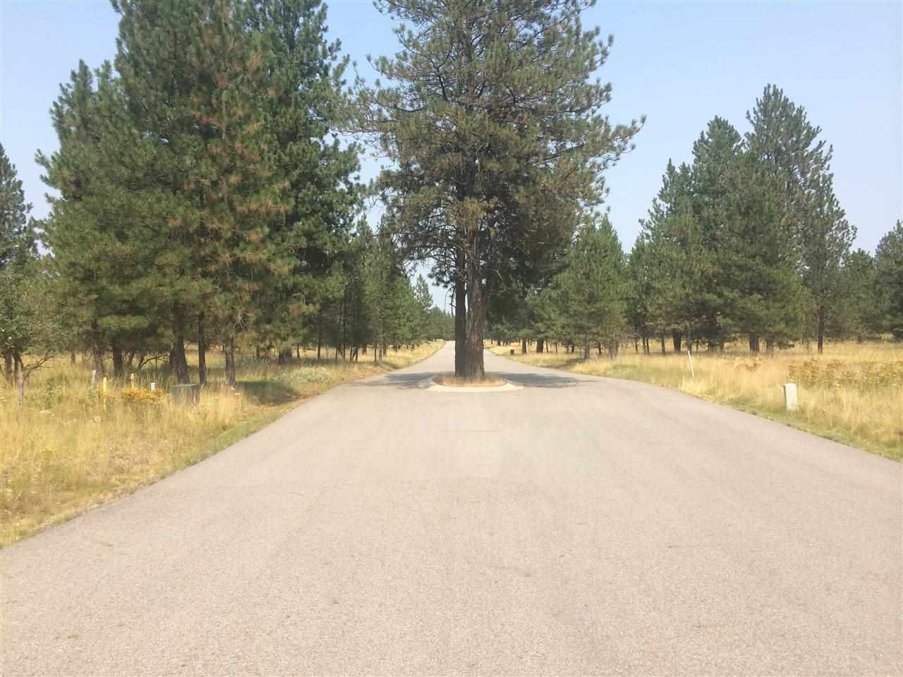 3200 Jim Hill Road Colbert, WA 99005 - Photo 8 of 8