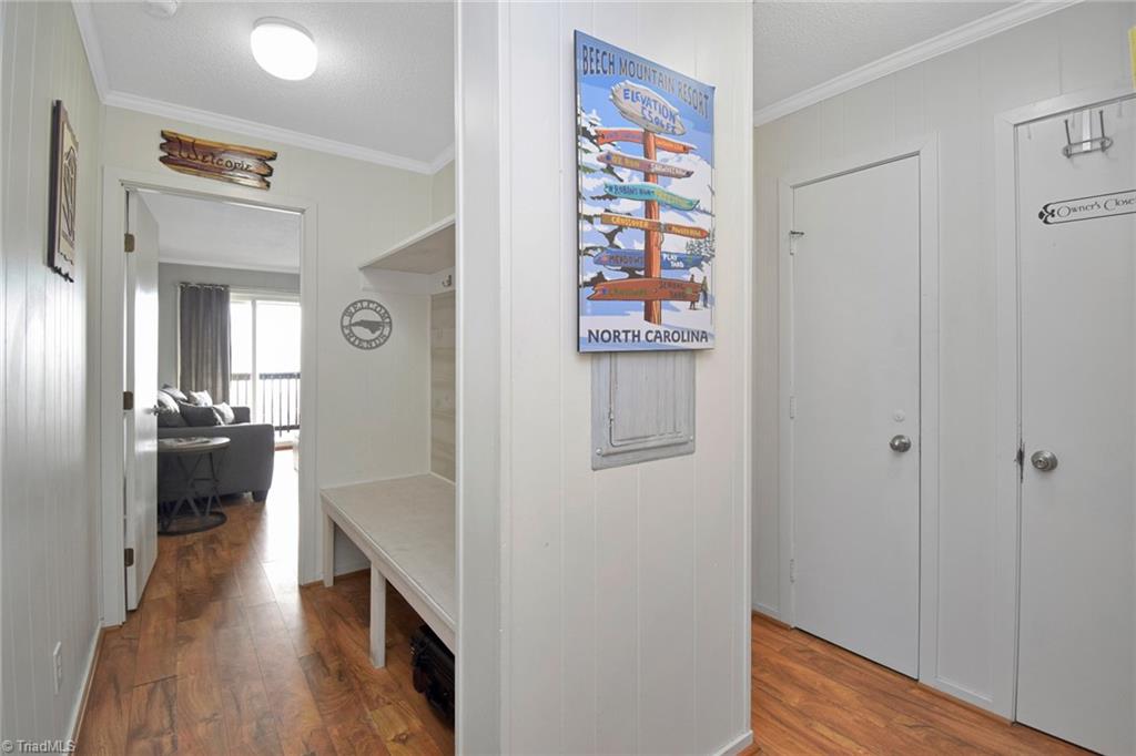 301 Pinnacle Inn Road, Unit 3130 Beech Mountain, NC 28604 - Photo 4 of 41