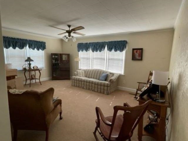 2991 Old Federal Road Quincy, FL 32351 - Photo 21 of 36 Gallery Image 21