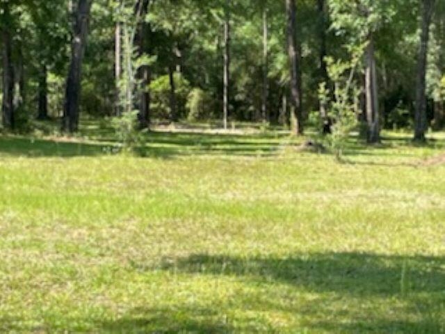 2991 Old Federal Road Quincy, FL 32351 - Photo 25 of 36 Gallery Image 25