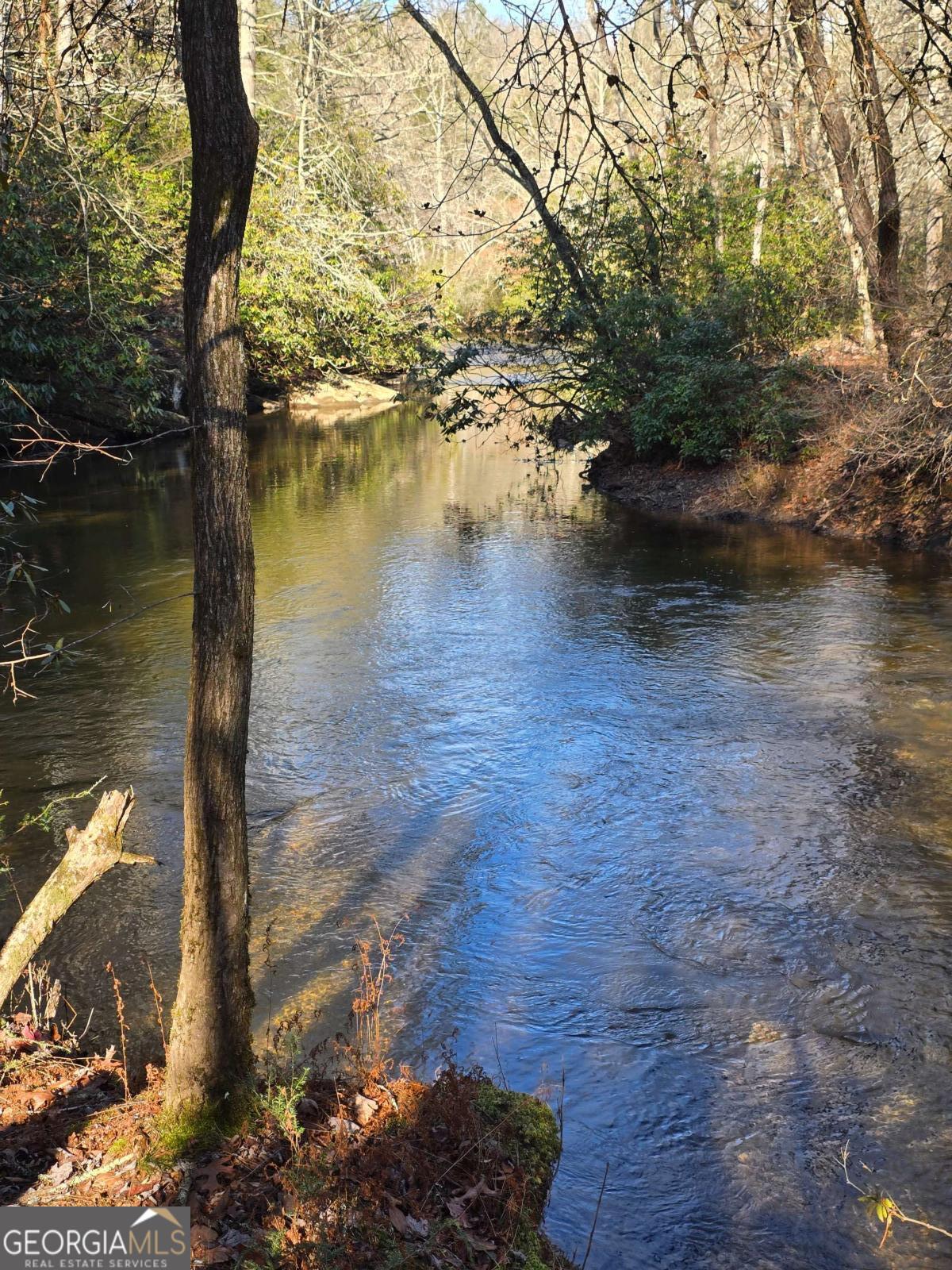 Lot 11 B Spence Road Epworth, GA 30541 - Photo 2 of 4