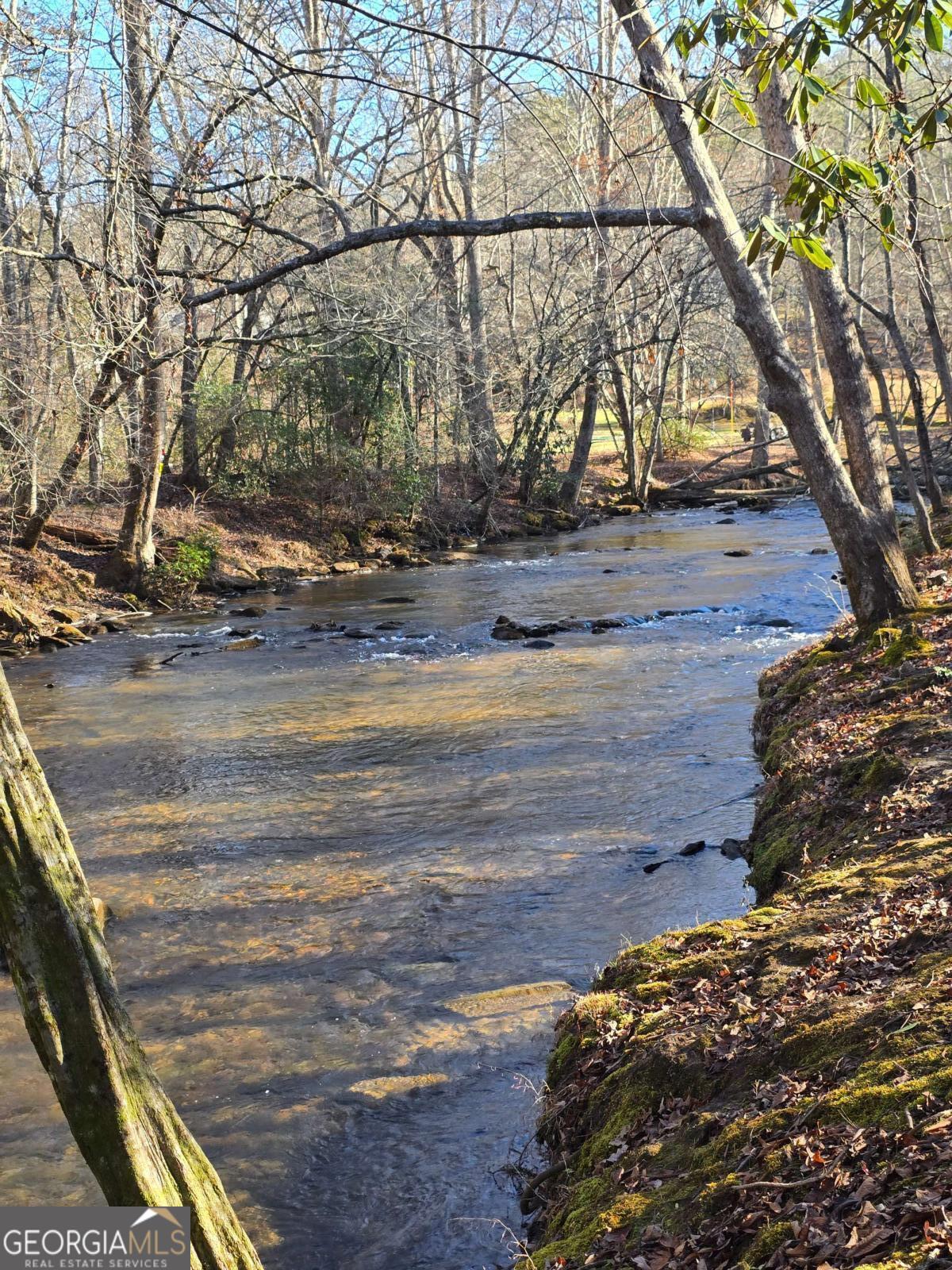 Lot 11 B Spence Road Epworth, GA 30541 - Photo 3 of 4