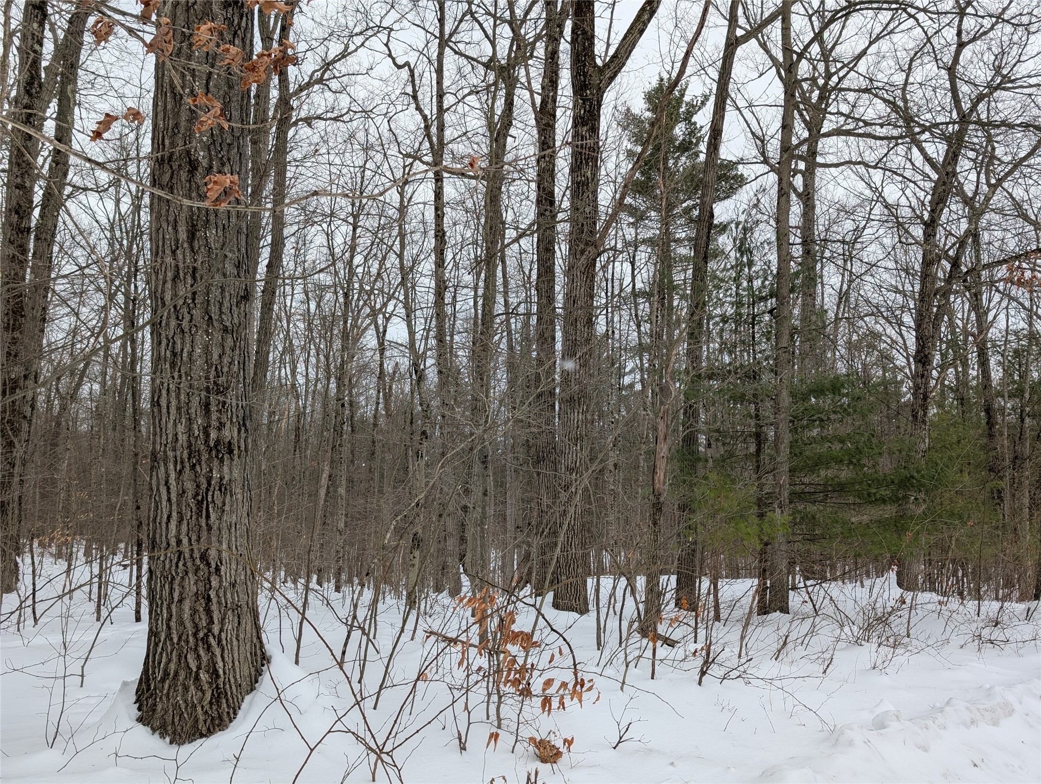 398 Mt Carmel Road Windsor, NY 13865 - Photo 5 of 6