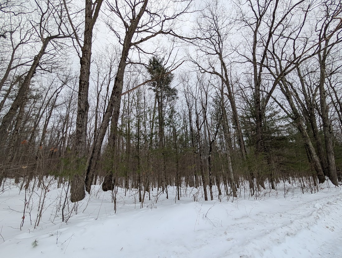 398 Mt Carmel Road Windsor, NY 13865 - Photo 6 of 6