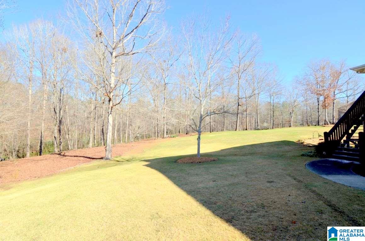 219 Quail Ridge Road Helena, AL 35080 - Photo 41 of 46