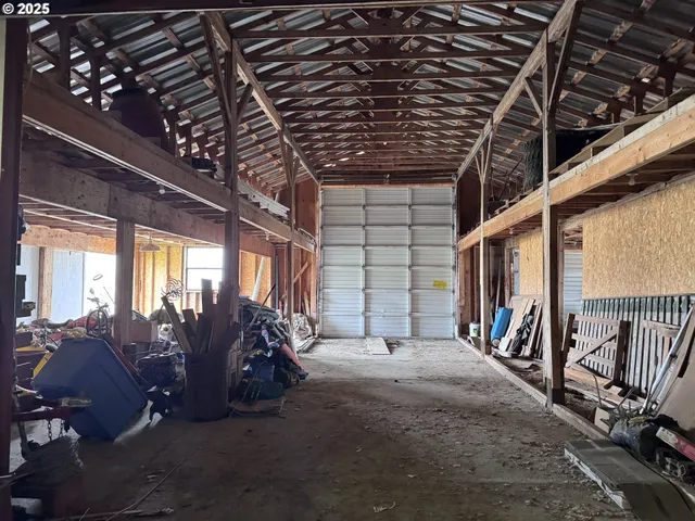 a view of a field with lots of tall trees
