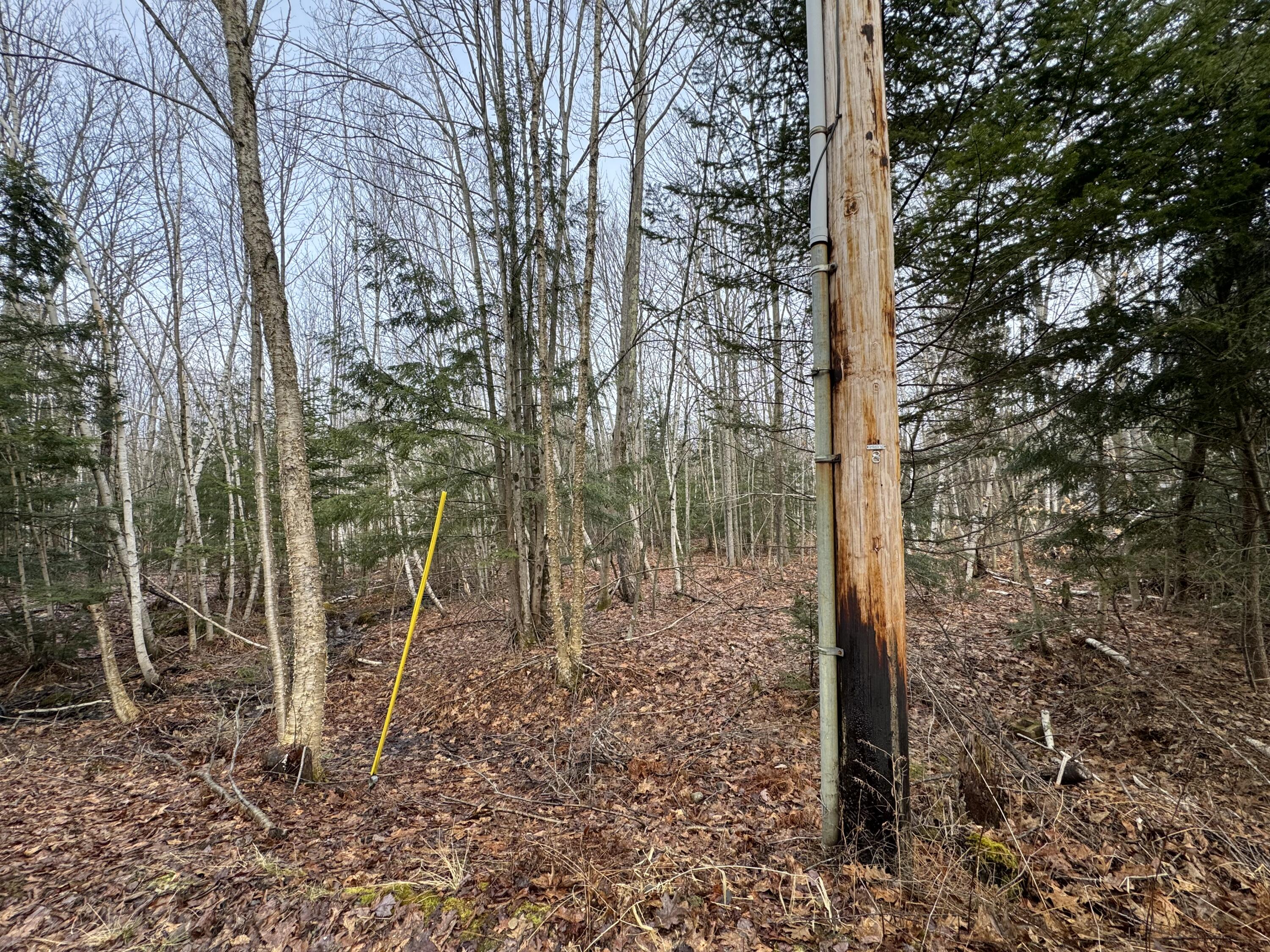 Lot 21 Johnson Road Greene, ME 04236 - Photo 5 of 18 IMG_4083