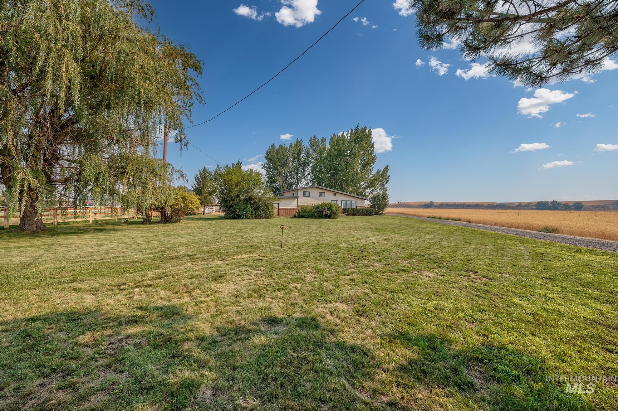 1741 Cove Road Weiser, ID 83672 - Photo 36 of 46 Expansive grassy lawn with established perimeter fencing, mature trees, and a distant field view
