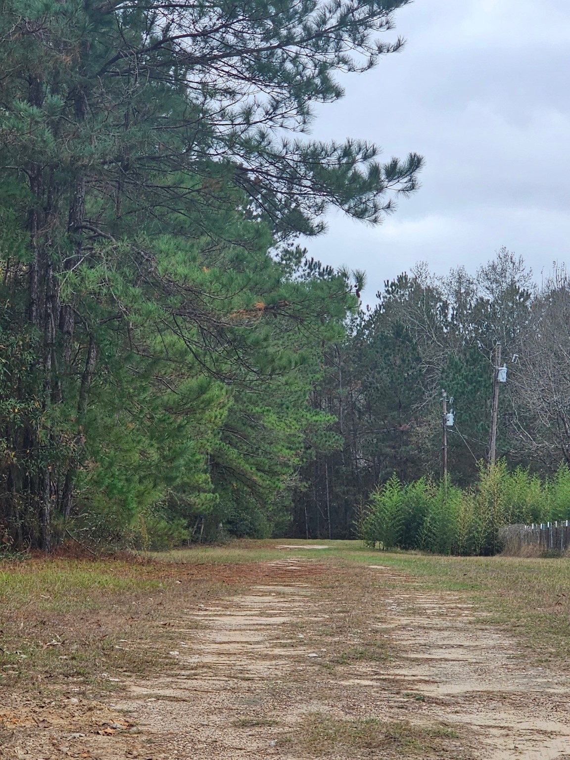 263 Wishing Trail Livingston, TX 77351 - Photo 14 of 18 a view of a lake view
