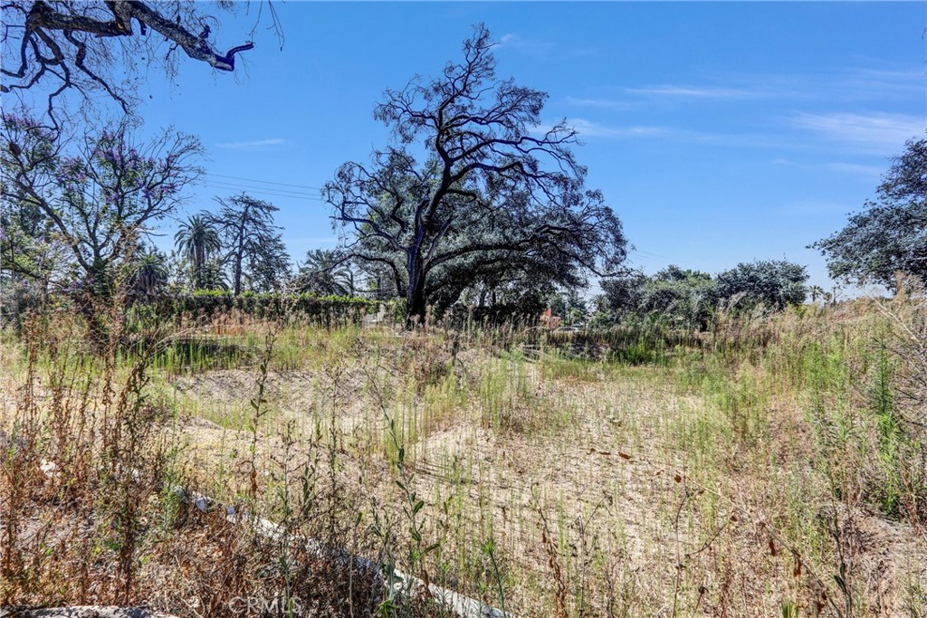 1085 Rubio Street Altadena, CA 91001 - Photo 13 of 49