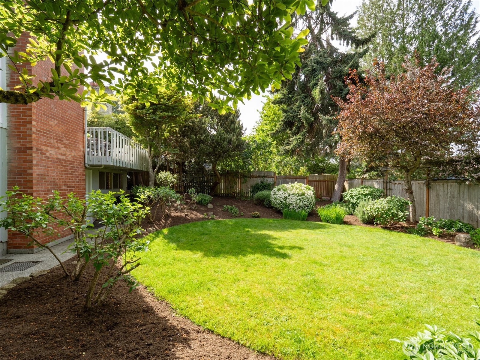 6420 Northeast 60th Street Seattle, WA 98115 - Photo 35 of 40 a front view of a house with a yard and trees