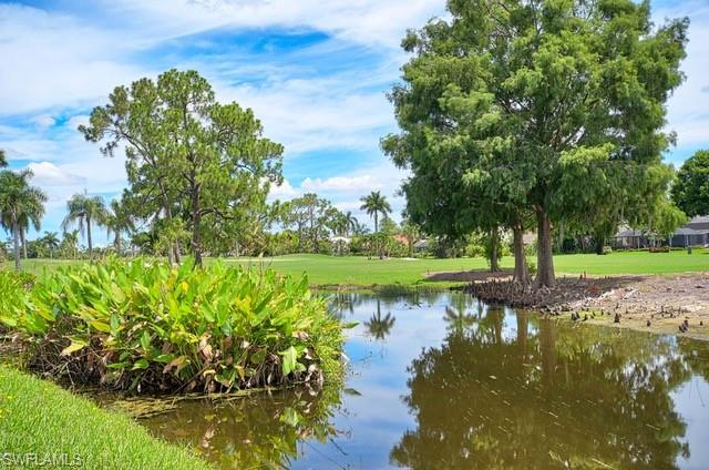 351 Torrey Pines Point Naples, FL 34113 - Photo 26 of 28 Gallery Image 26