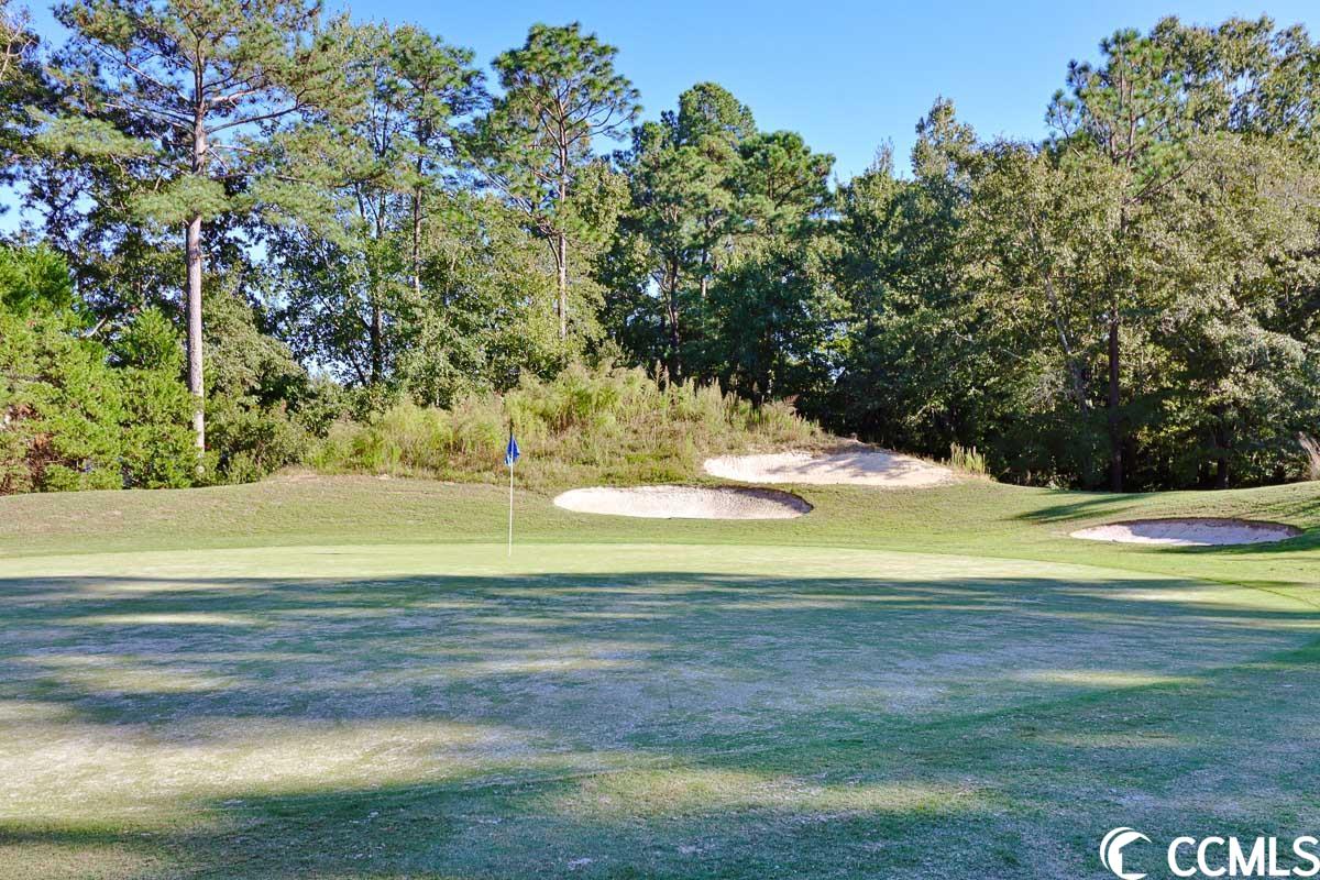 5810 Longwood Drive, Unit 303 Murrells Inlet, SC 29576 - Photo 22 of 28
