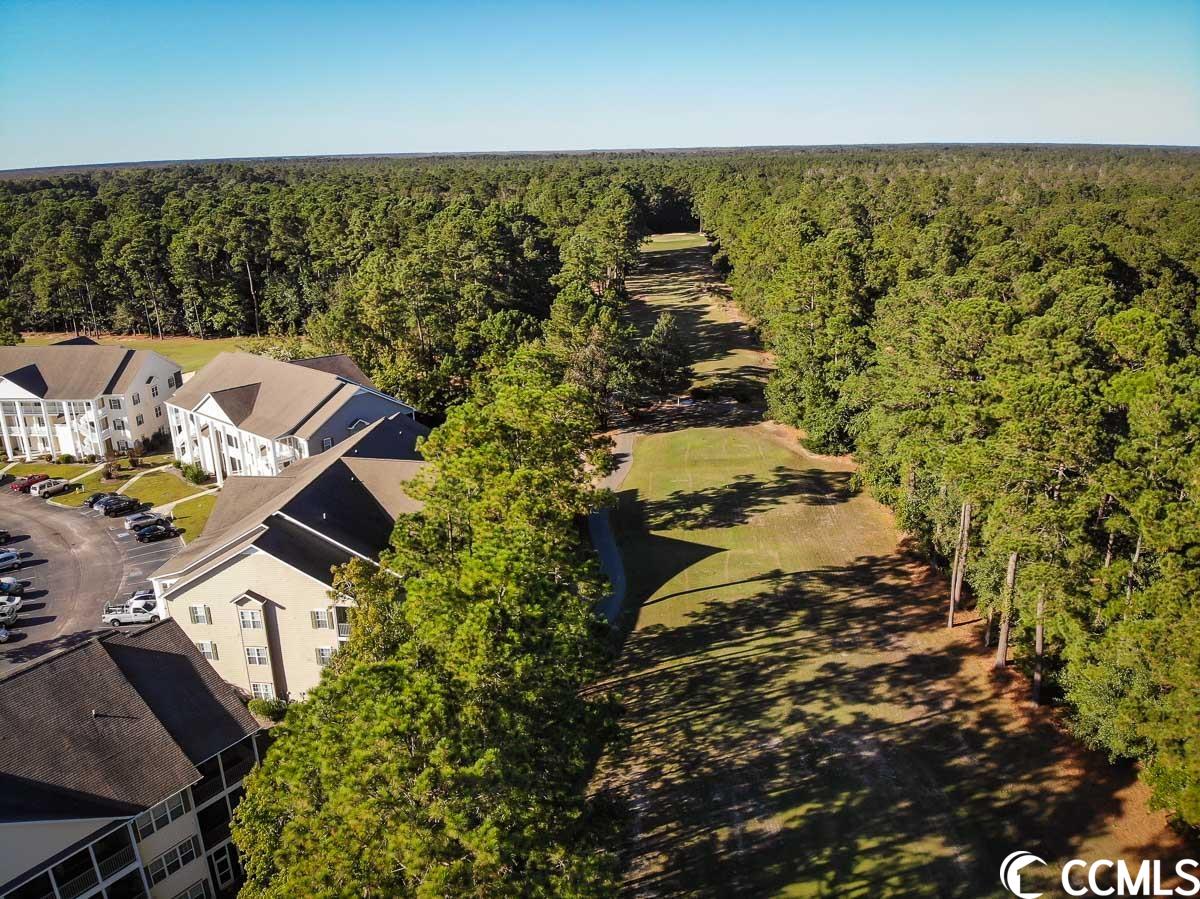 5810 Longwood Drive, Unit 303 Murrells Inlet, SC 29576 - Photo 23 of 28