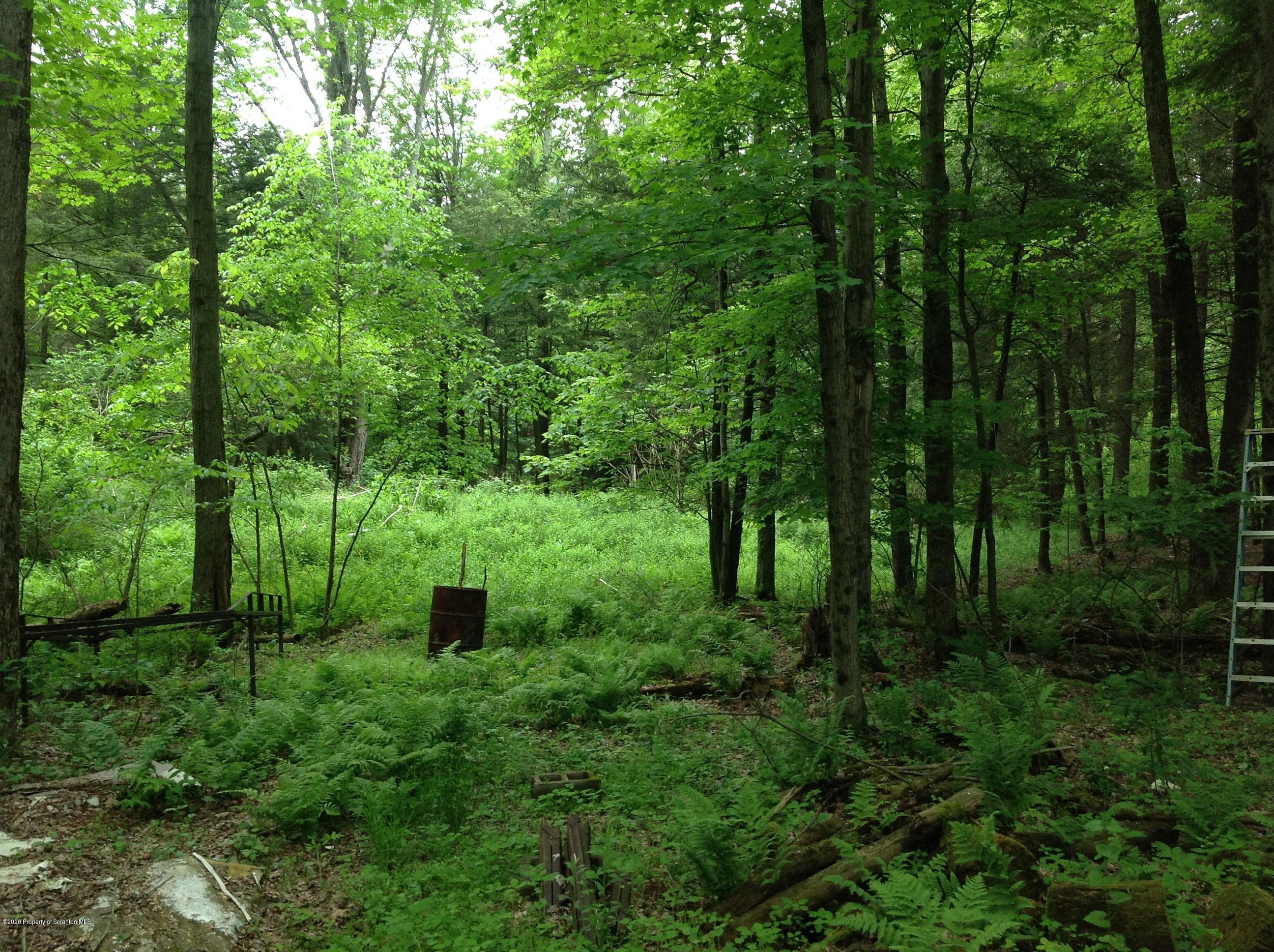 875 Marshall Squier Road Nicholson, PA 18446 - Photo 29 of 29 a green field with lots of trees