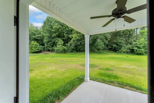 a view of a garden from a window