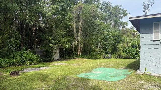 a view of a backyard