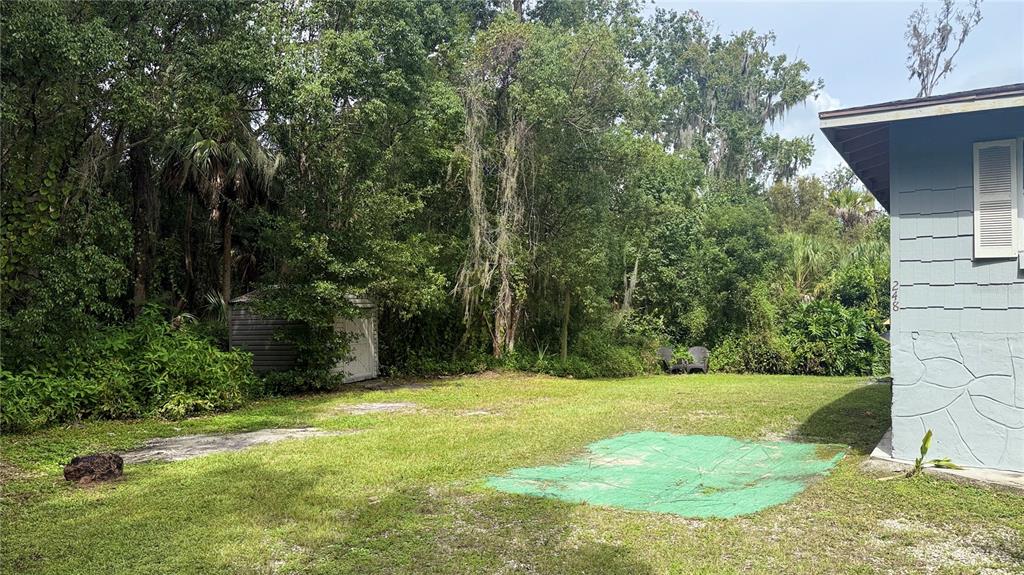 248 Fraser Road DeBary, FL 32713 - Photo 3 of 18 a view of a backyard
