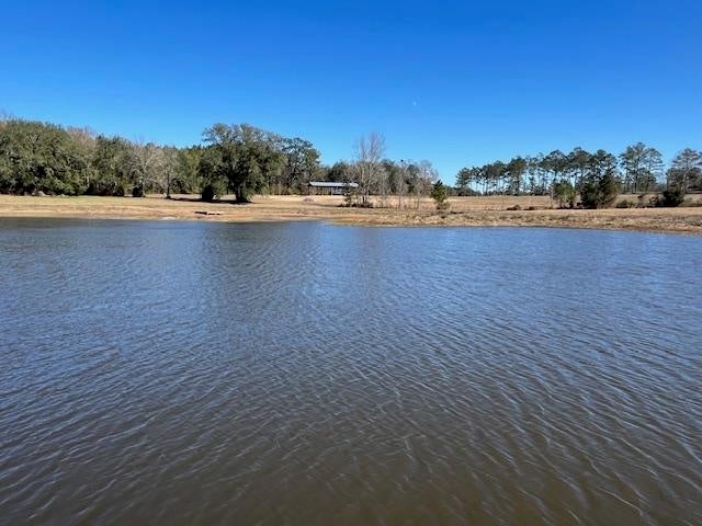 41-ac Cravey Bridge Road Opp, AL 36467 - Photo 1 of 50 Gallery Image 1