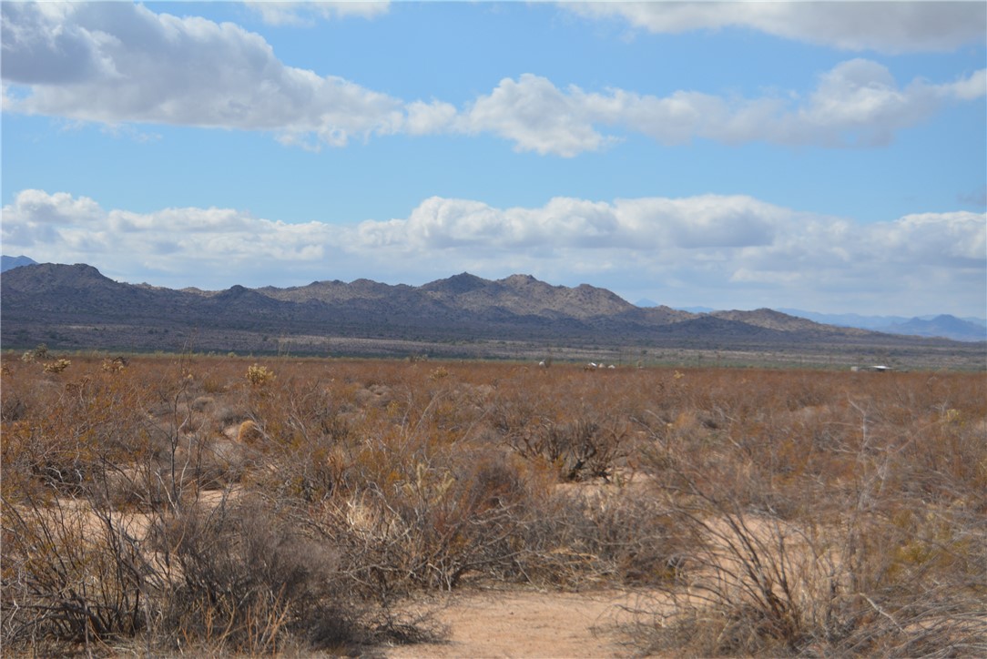 207-35-005 South Arlington Road Yucca, AZ 86438 - Photo 30 of 92
