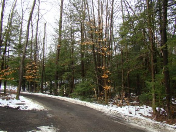 383 Monkey Run Road Port Crane, NY 13833 - Photo 18 of 19 Gallery Image 18