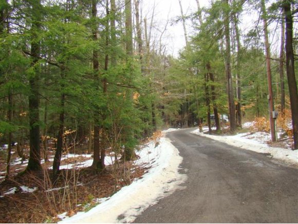 383 Monkey Run Road Port Crane, NY 13833 - Photo 19 of 19 Gallery Image 19