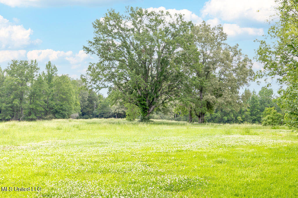 Undisclosed Address Raymond, MS 39154 - Photo 14 of 15 Raymond-11