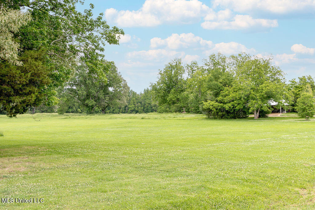 Undisclosed Address Raymond, MS 39154 - Photo 8 of 15 Raymond-4