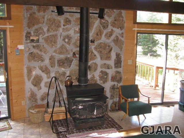 270 Spruce Road Cimarron, CO 81220 - Photo 3 of 10 Gallery Image 3