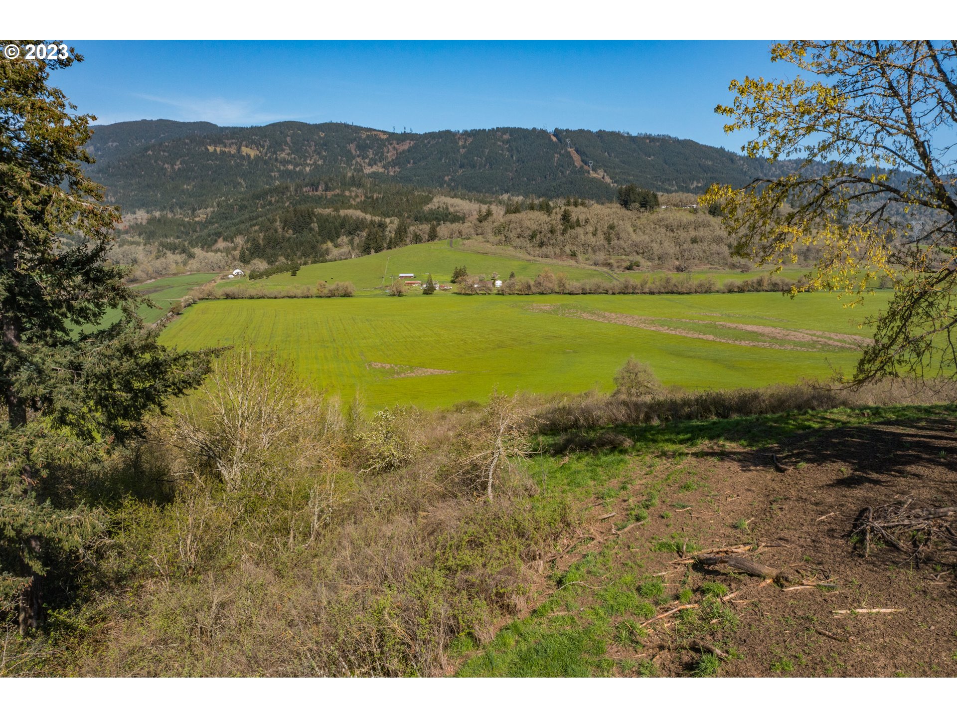 33097 Wilkins Road Eugene, OR 97408 - Photo 10 of 30 Gallery Image 10