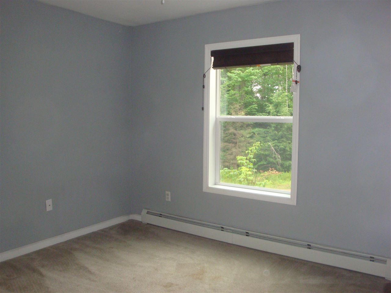 396 McMurphy Road Alexandria, NH 03222 - Photo 17 of 18