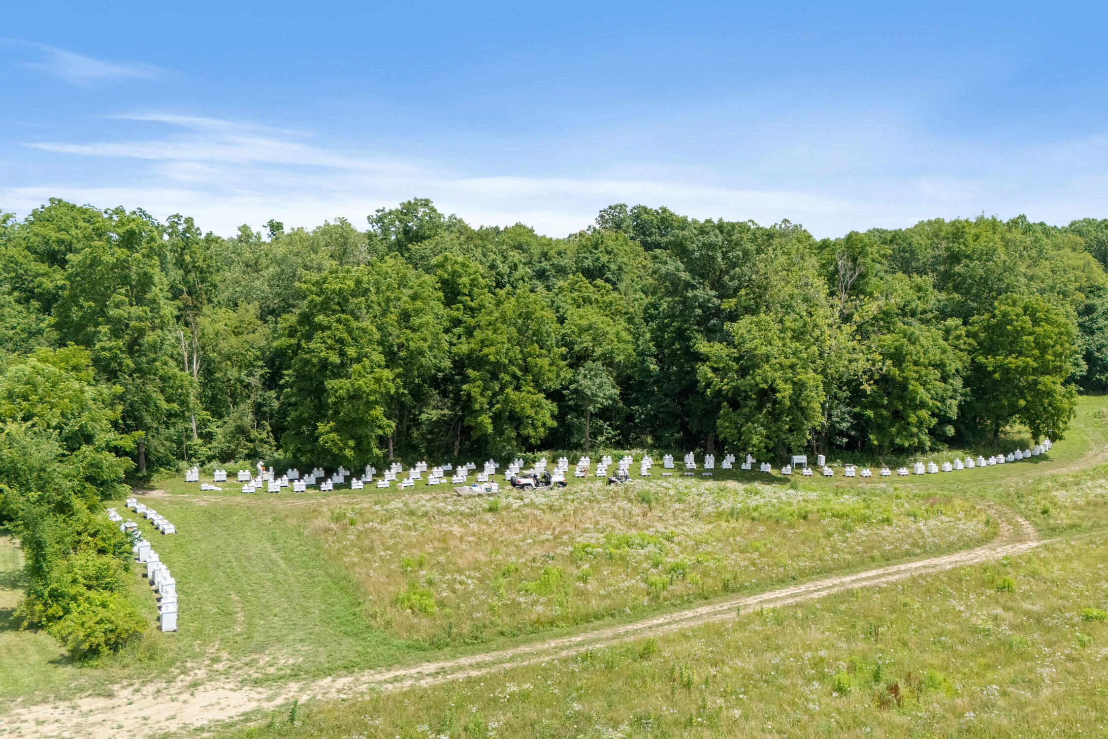 19745 South Lakeside Road New Buffalo, MI 49117 - Photo 4 of 25 24_dji_20250709130428_0060_d