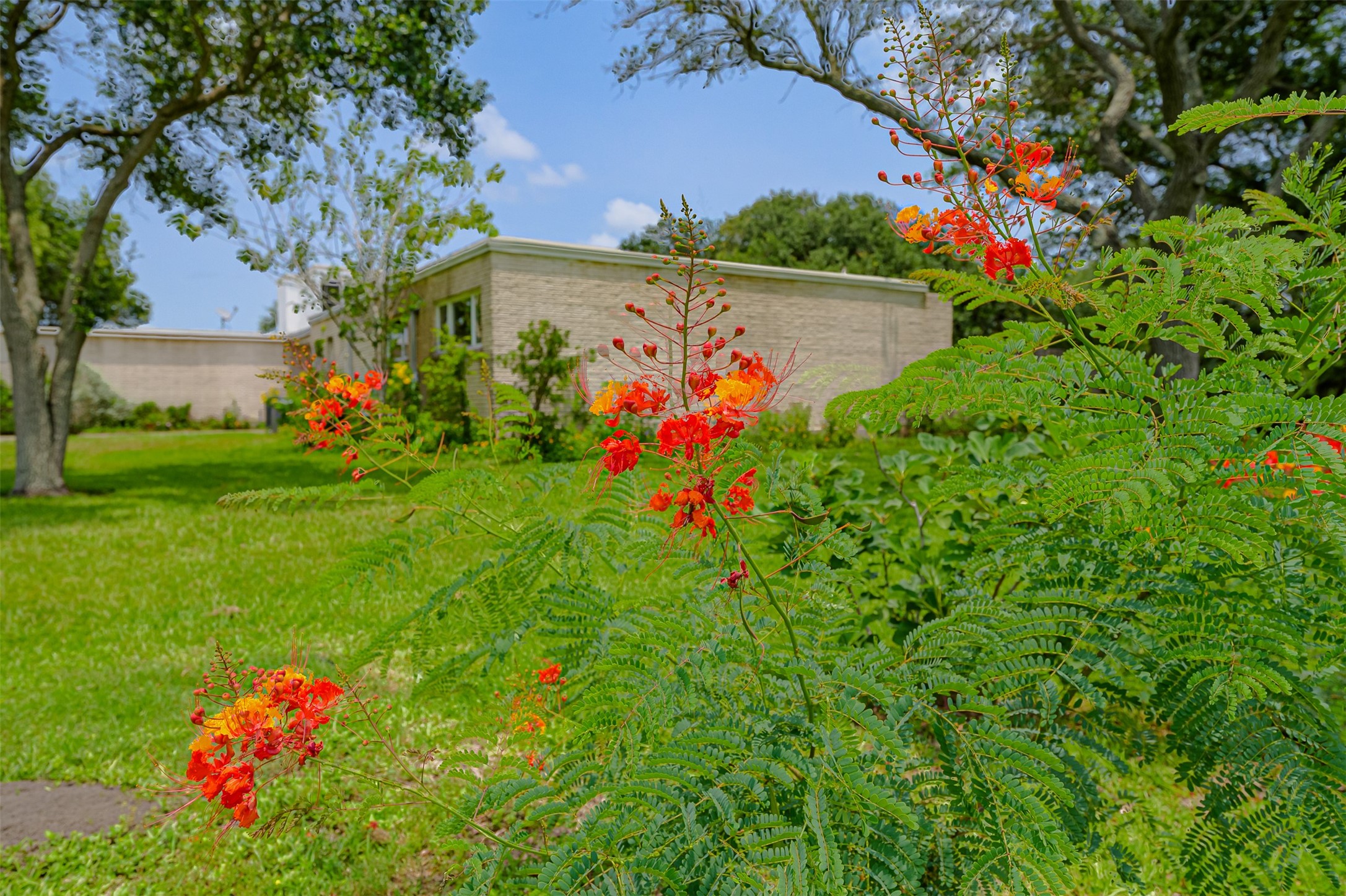 1700 South Virginia Street Port Lavaca, TX 77979 - Photo 10 of 49