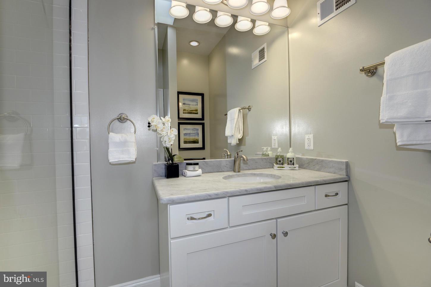 1219 Independence Avenue Southeast Washington, DC 20003 - Photo 17 of 30 Bath (Master)