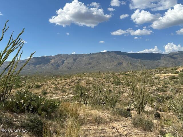 8167 South Pistol Hill Road Vail, AZ 85641 - Photo 23 of 36