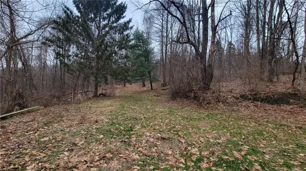 $33,900 | 7585 East Avenue, Springwater, NY 14560