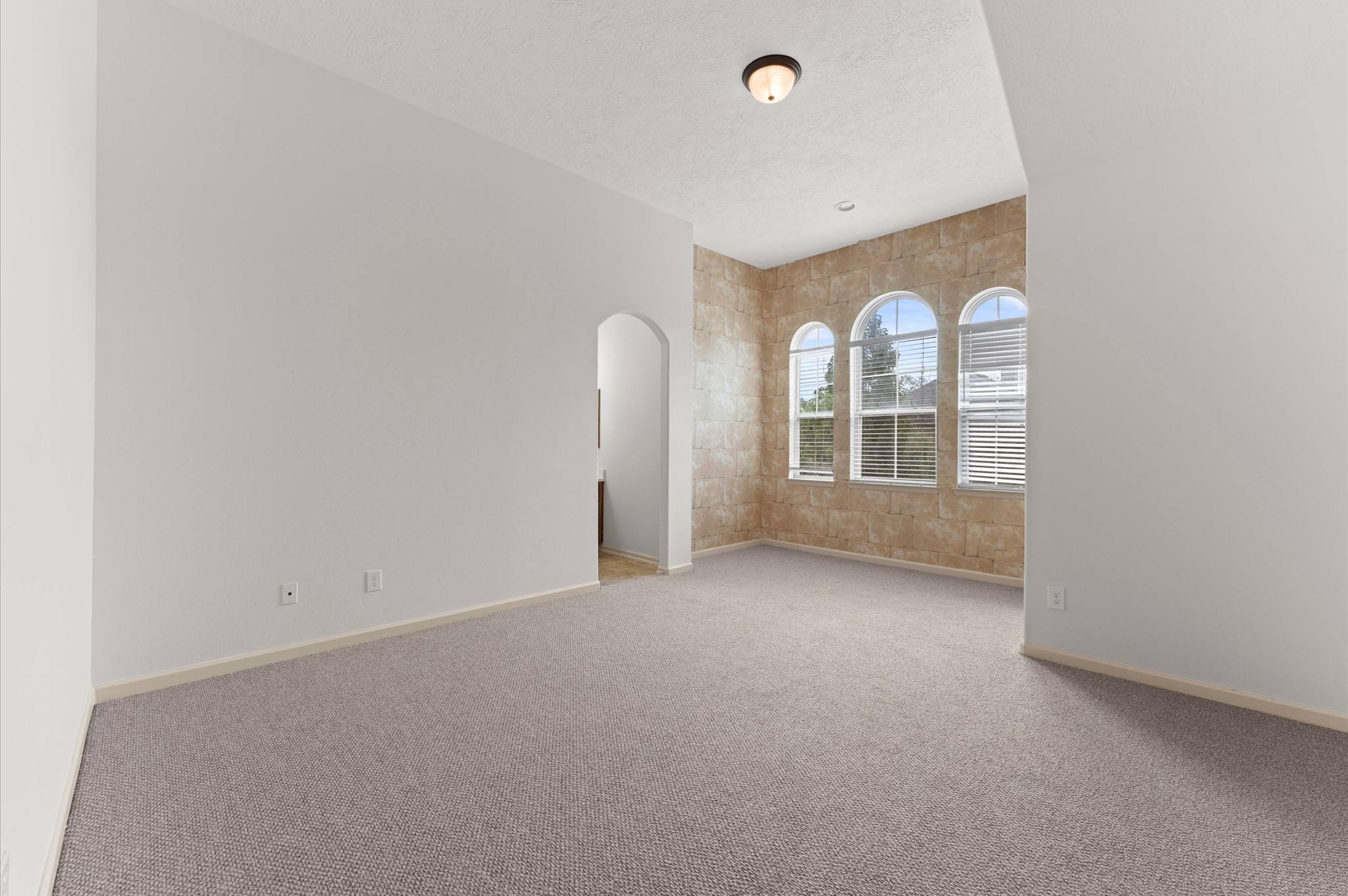 3 North Beech Springs Circle Spring, TX 77389 - Photo 34 of 43 an empty room with windows and mirror