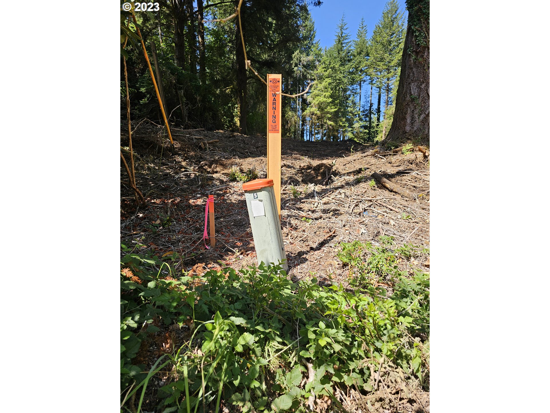 5193 Boy Scout Road Florence, OR 97439 - Photo 2 of 9