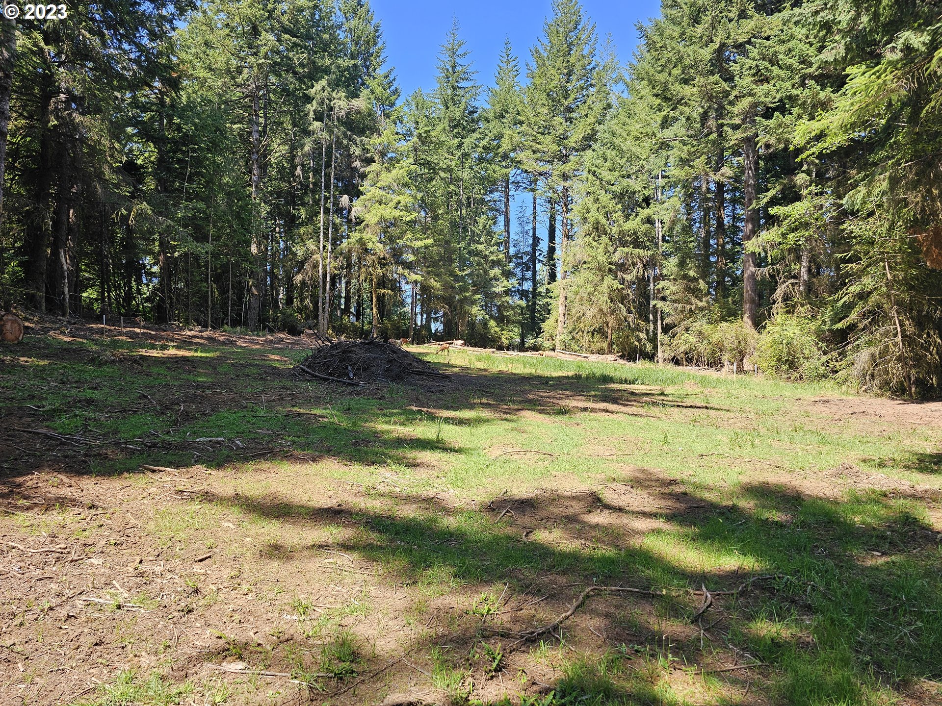 5193 Boy Scout Road Florence, OR 97439 - Photo 6 of 9 a view of a yard with wooden fence