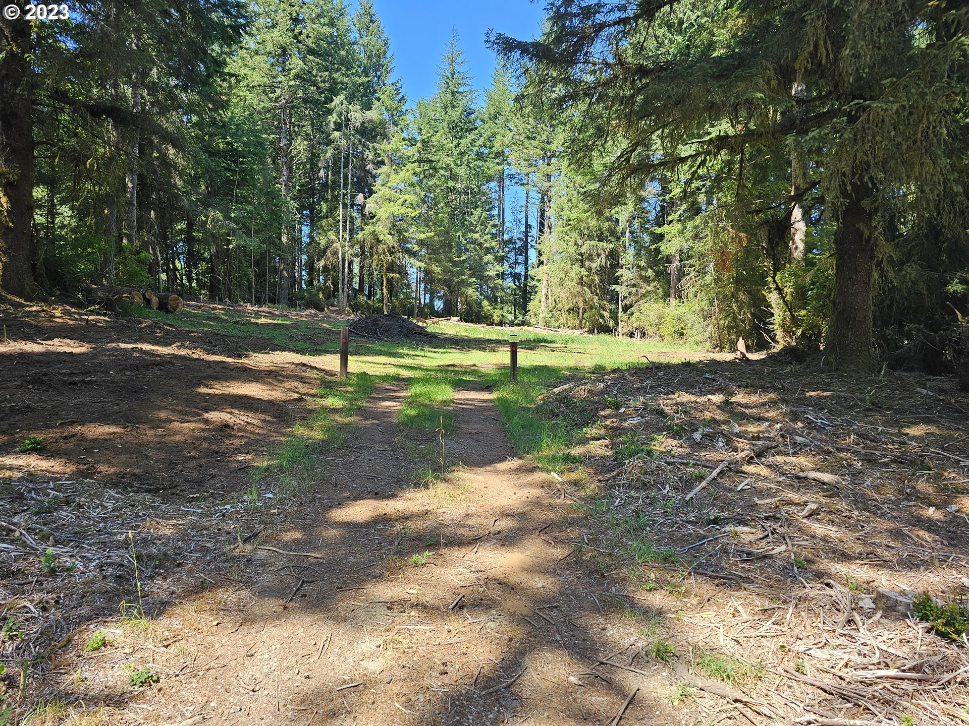 5193 Boy Scout Road Florence, OR 97439 - Photo 8 of 9 a view of a yard with trees