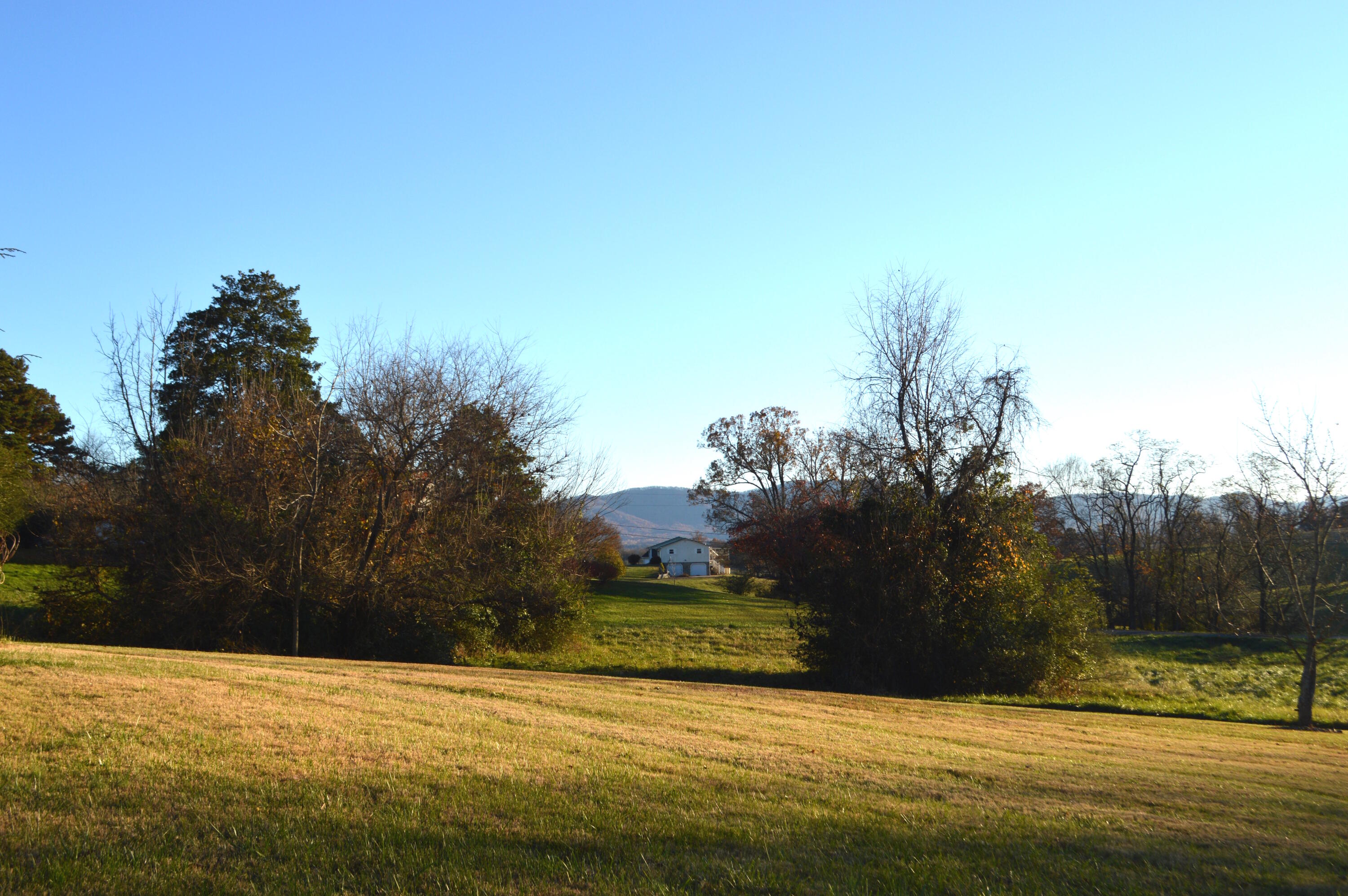 169 West Allens Bridge Road Greeneville, TN 37743 - Photo 7 of 35 DSC_0196