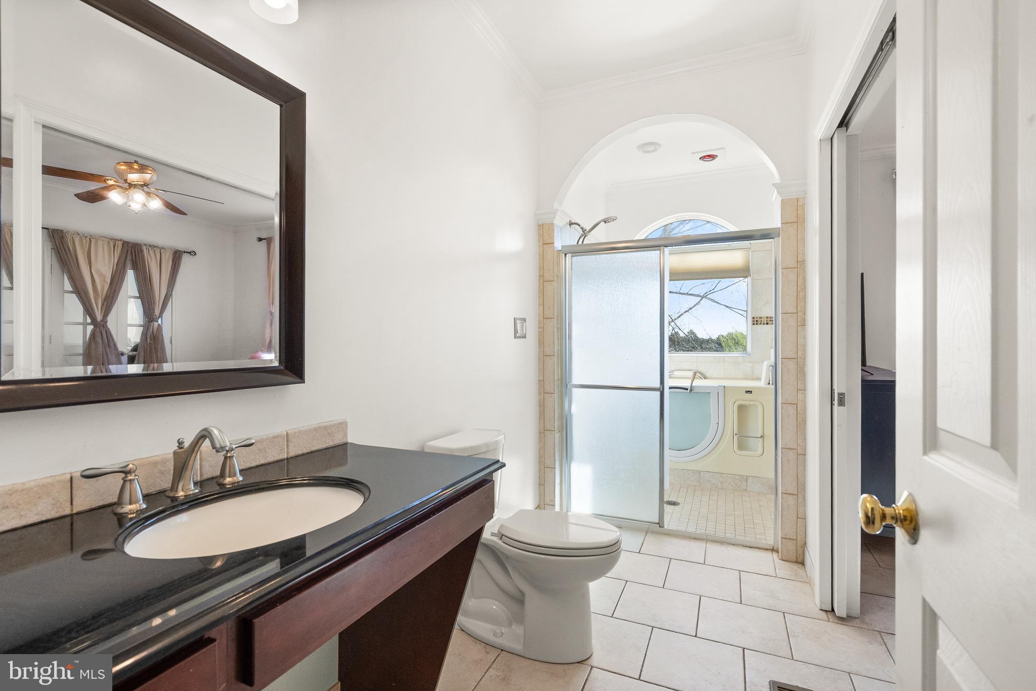13145 Carriage Ford Road Nokesville, VA 20181 - Photo 27 of 70 a bathroom with a granite countertop sink a toilet a mirror and shower