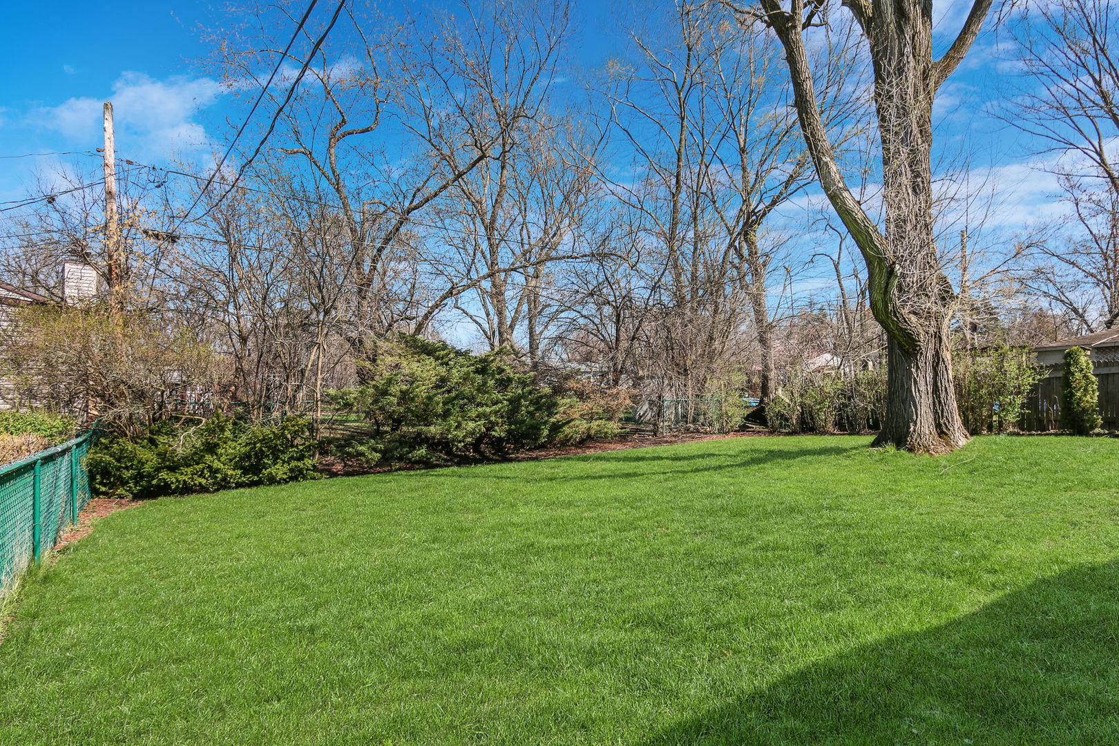 273 Raupp Boulevard Buffalo Grove, IL 60089 - Photo 18 of 18 a view of a backyard with large trees