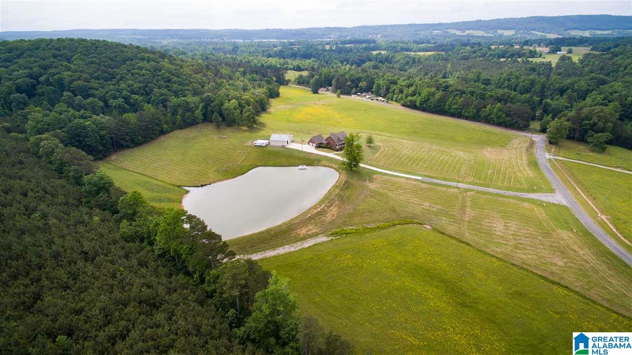 741 Robbins Branch Road Altoona, AL 35952 - Photo 46 of 50 Gallery Image 46